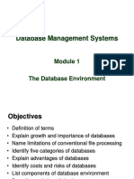 Module 1 - The Database Environment