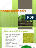 CHP 5 Photosynthesis