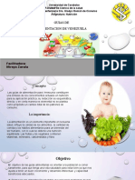 Nutricion Seminario Guias