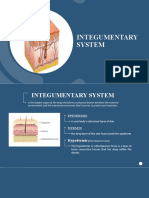 Integumentary System