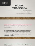 Prueba Pedagógica