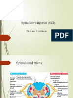 Spinal Cord Injuries (SCI) : DR - Anas Alashram