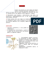 MICOLOGÍA