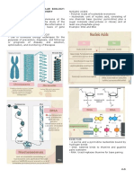 Introduction To Molecular Biology