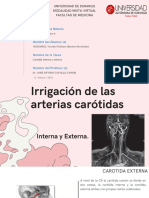 Arterias Carotidas Pre