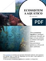 Ecossistema Aquático