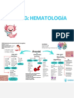 Sesión Asincrónica - Medicina Interna I