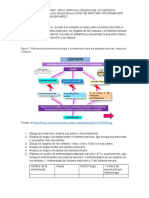 Actividad 8 S. Nervioso