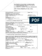 Ficha Ambiental Tesis