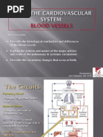 Key Concepts: Developed by John Gallagher, MS, DVM