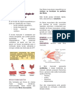 Apg 20 - Semestre 2