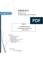 Group C Environmental Science Report