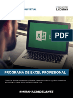 BR Curso Virt Excel Profesional