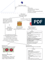 Staphylococcus Orientation