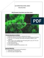 CB Lesson 2 Why Evergreen Trees Never Lose Their Leaves