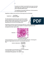 03 Magnification and Scale Problems