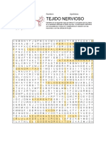 Ismael Giles González - SOPA DE LETRAS TEJIDO NERVIOSO