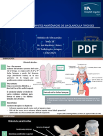 14.embriologia y Variantes Anatomicas de Tiroides