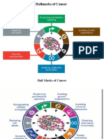 2nd PPT Growth Factors and Receptors