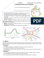 Apuntes Biología - Reproducción en Los Animales 2022 2023