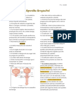 Sistema Urigenital