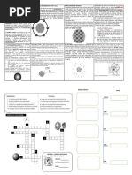 Guia Modelo Atomico