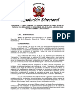 Proyecto de Resolución Directoral y Directiva - CHALECO CON PLACA