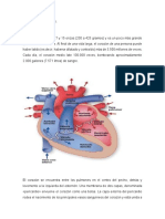 2 1cardiovascular