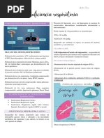 Insuficiencia Respiratoria