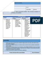 Codiseño de Programa Analitico