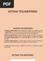 Sistema Tegumentario