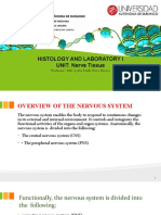 Histología Sistema Nervioso