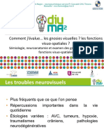 Evaluer Gnosies Visuelles PDF