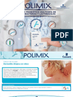 Polimix PDF