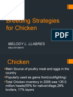 Breeding Strategies For Chicken
