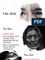 Lesson 4 The Structure and Functions of The Skin