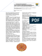 Civilizaciones Precolombinas PDF