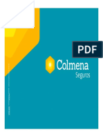 P17 D48 Modelo Informe Gestion Conservacion A PDF