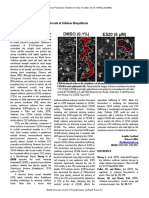 Endosidin20 A Key To Unlock The Secrets of Cellulo