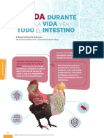 Adisseo Ayuda Durante La Vida Intestino PDF