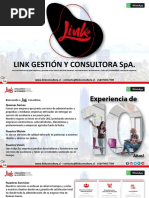 Brochure Link Consultora