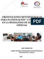 Planificacion Evaluacion Retardo Mental