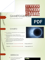  GAMETOGENESIS