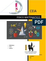 Fisico Matematico