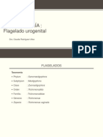 Tricomoniasis y Balantidiasis