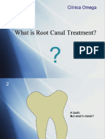 Introduction +morphology PDF