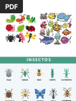 Anexos Insectos PDF