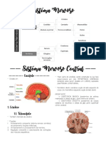 SNC e SNP - Anatomia Humana PDF