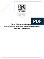 Fichas Test Afectivo, Lec y Escrit