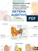 Sistema Auditivo